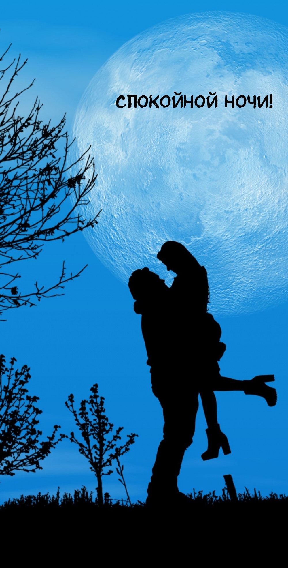 Спокойной ночи!
