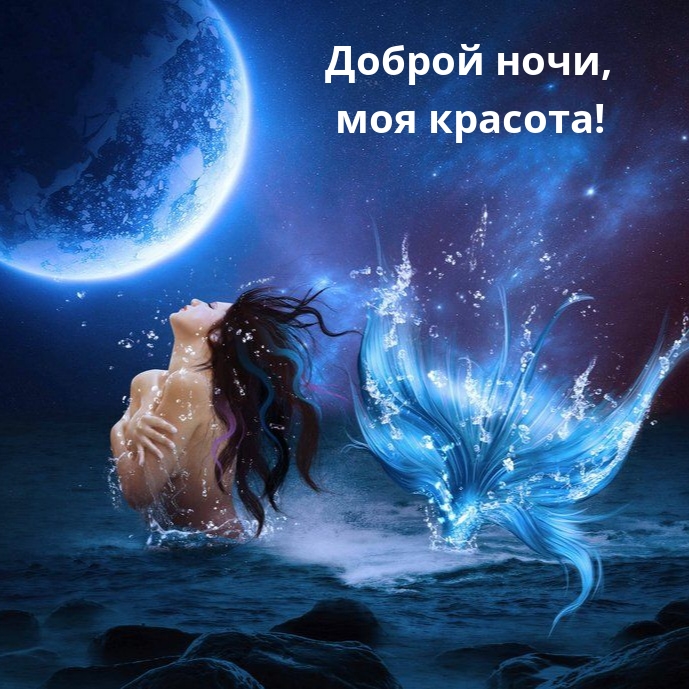 Доброй ночи, моя красота!