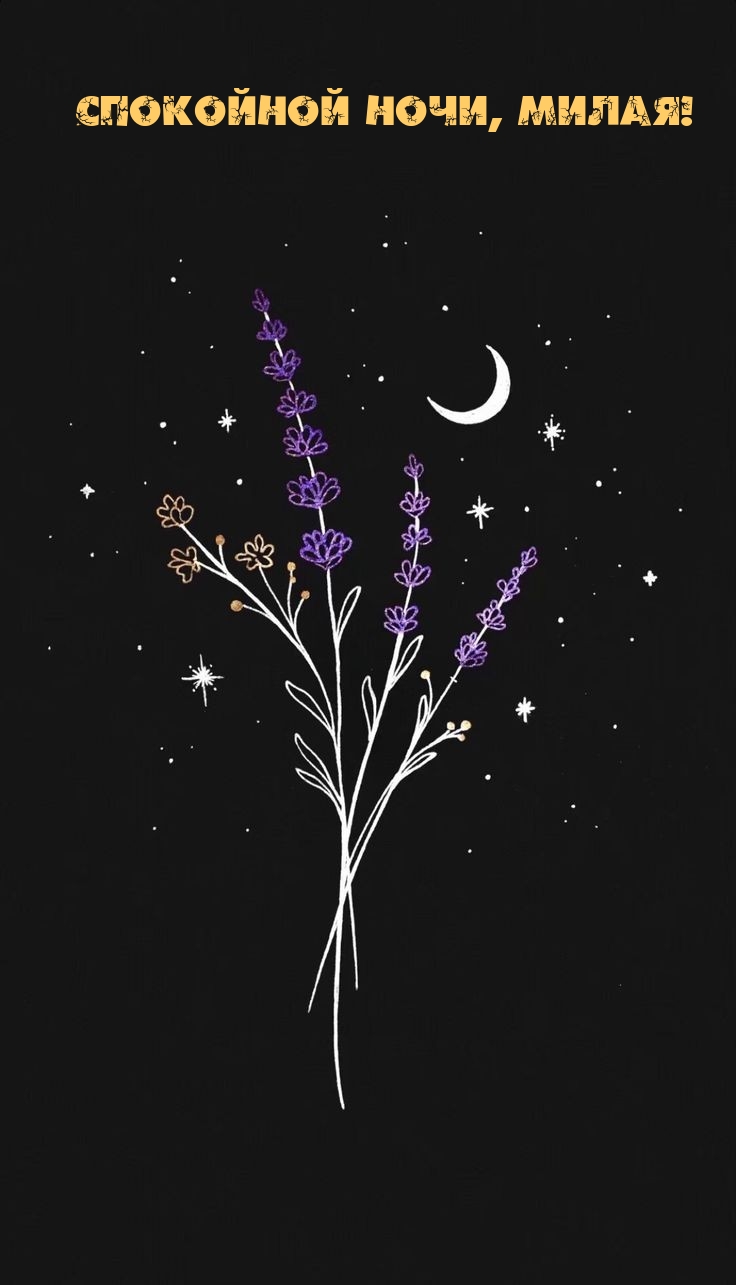 Спокойной ночи, милая!