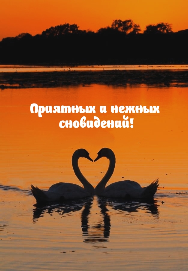 Приятных и нежных сновидений!
