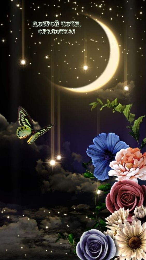 Доброй ночи, красотка!