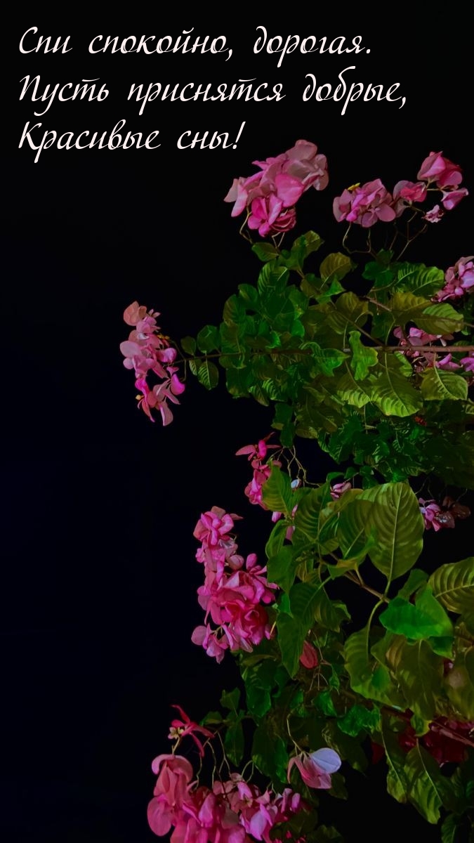 Спи спокойно, дорогая. Пусть приснятся добрые, красивые сны! 