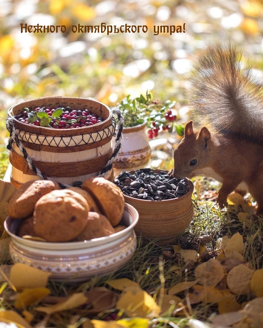 Нежного октябрьского утра!