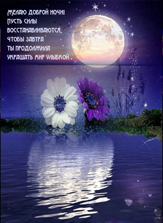 Желаю доброй ночи! Пусть силы восстанавливаются