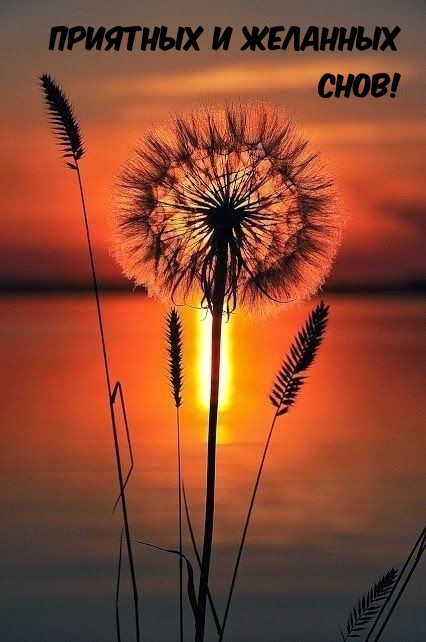 Приятных и желанных снов!
