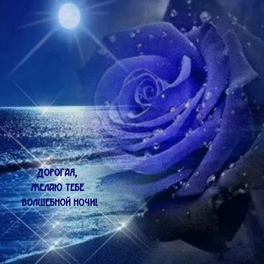 Дорогая, желаю тебе волшебной ночи!