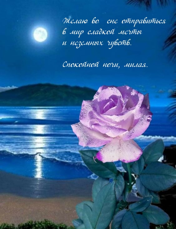 Желаю во сне отправиться в мир сладкой мечты и неземных чувств.