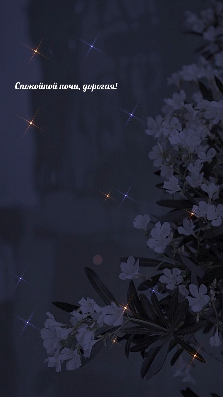 Спокойной ночи, дорогая!