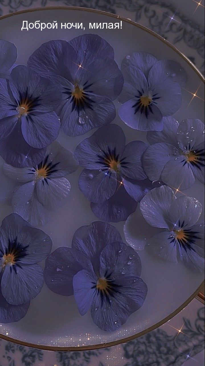Доброй ночи, милая!