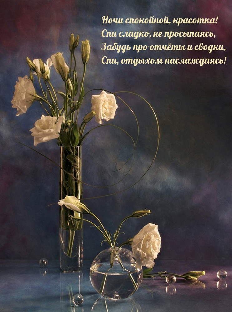 Ночи спокойной, красотка! Спи сладко, не просыпаясь