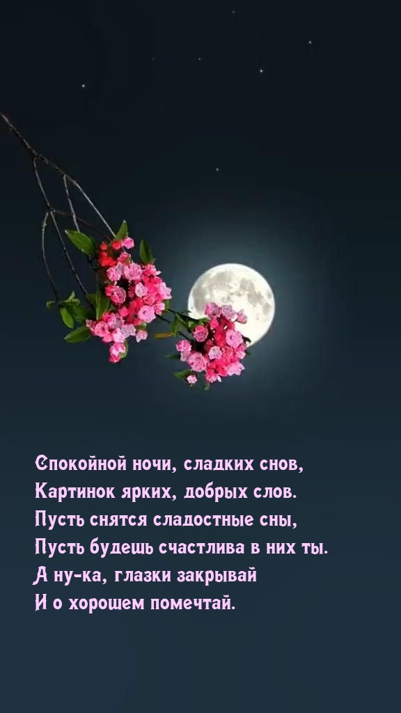 Спокойной ночи, сладких снов, картинок ярких, добрых слов.
