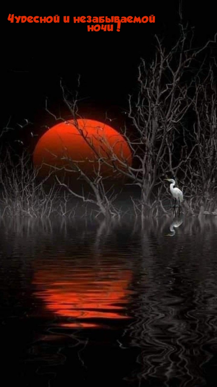 Чудесной и незабываемой ночи!