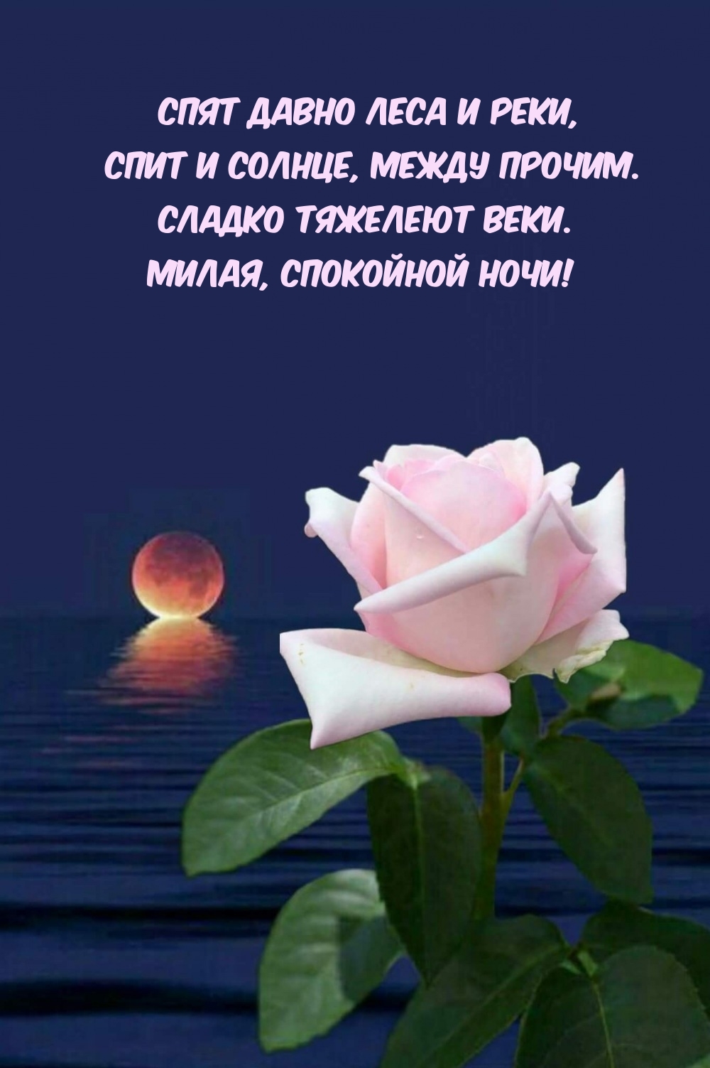 Спят давно леса и реки, спит и солнце, между прочим.