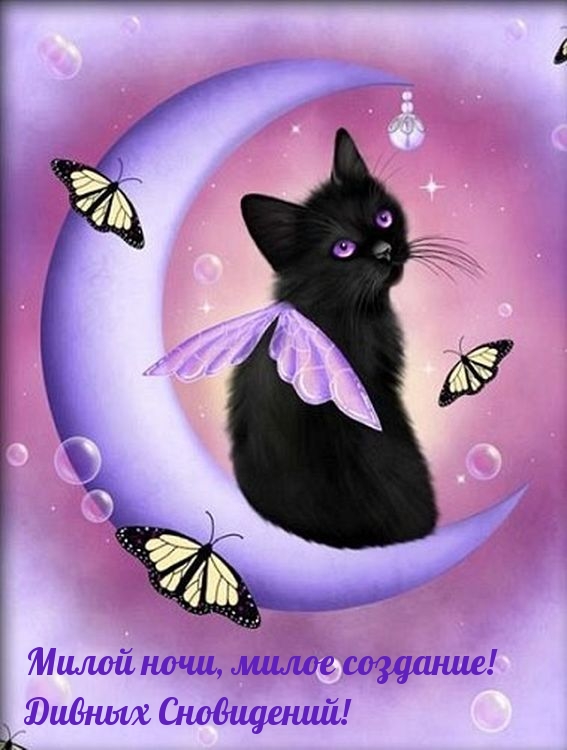 Милой ночи, милое создание! Дивных Сновидений!