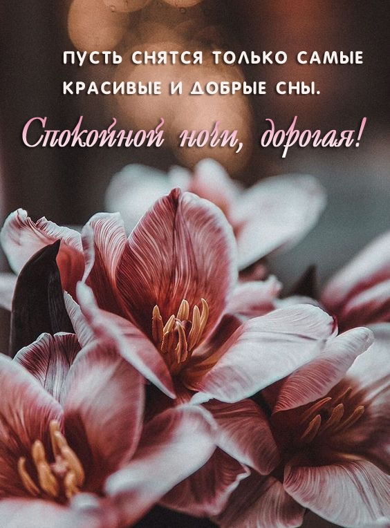 Пусть снятся только самые красивые и добрые сны.