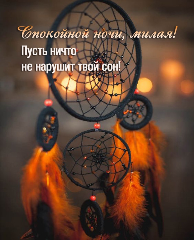 Спокойной ночи, милая! Пусть ничто не нарушит твой сон!