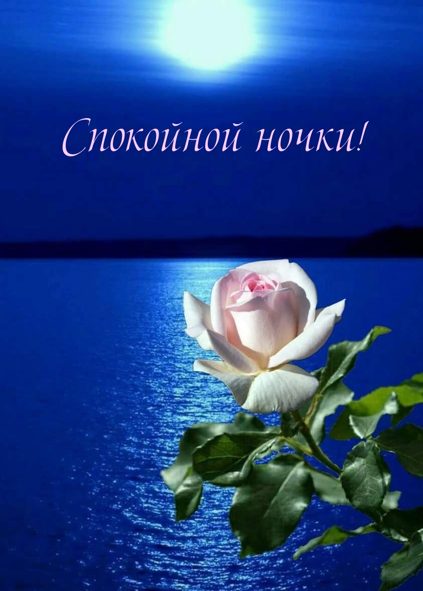 Спокойной ночки!