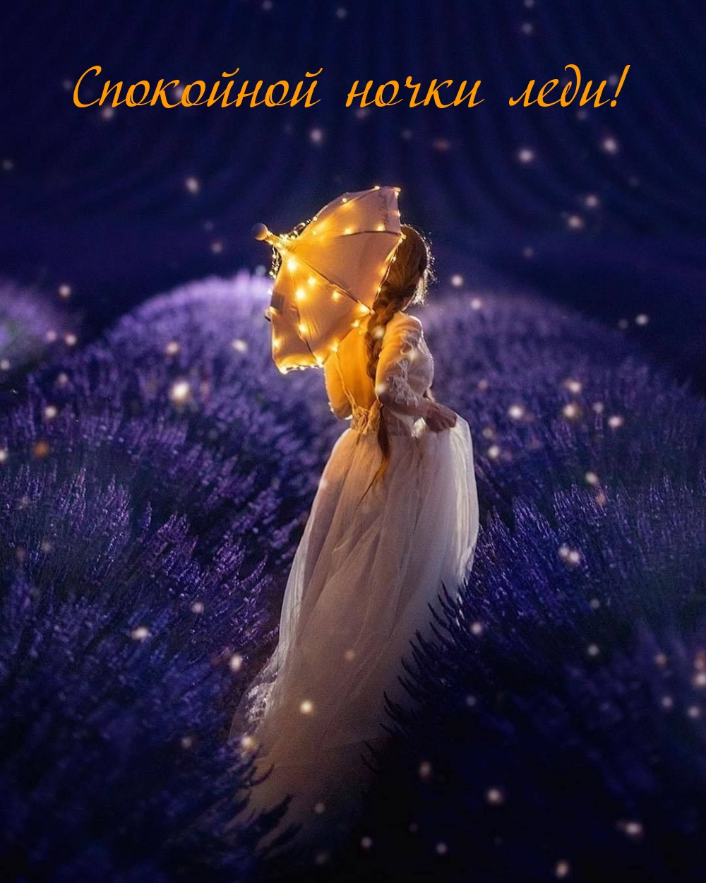 Спокойной ночки леди!