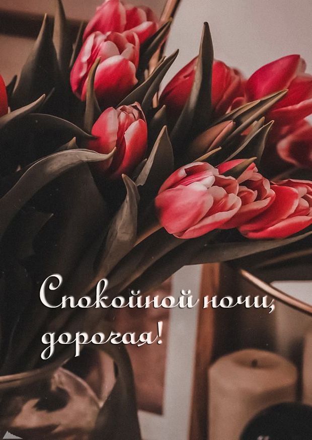 Спокойной ночи, дорогая!