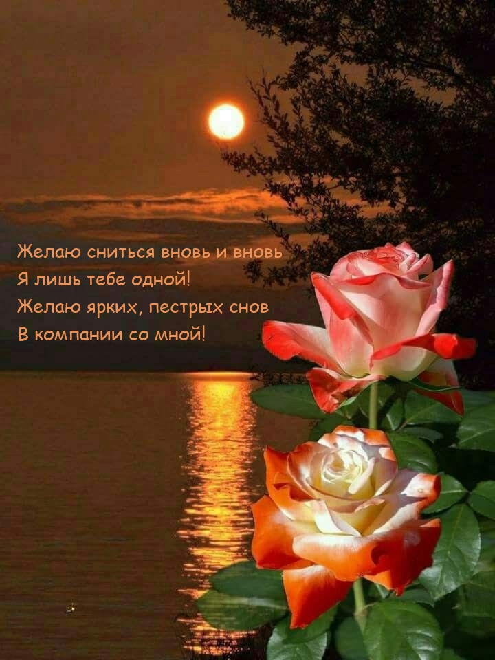 Желаю ярких, пестрых снов в компании со мной!