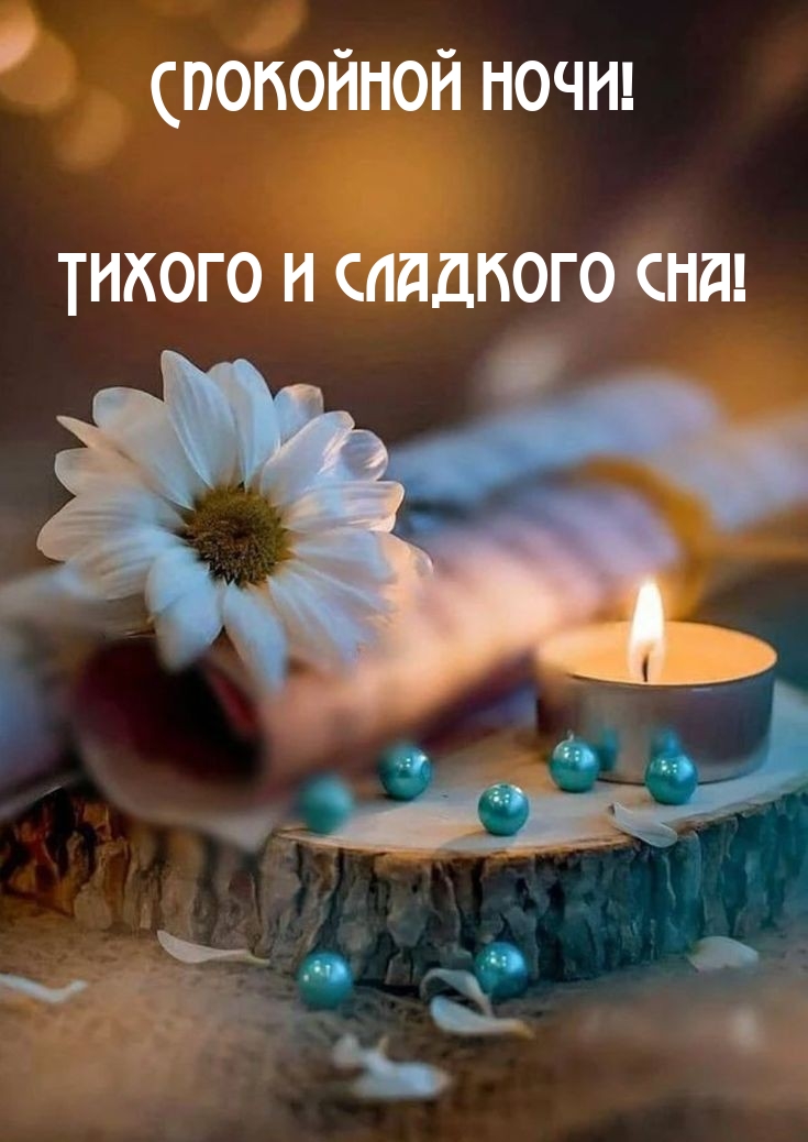 Спокойной ночи! Тихого и сладкого сна!