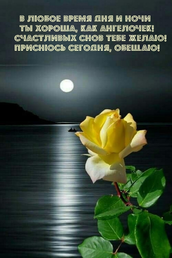 Счастливых снов тебе желаю! Приснюсь сегодня, обещаю!