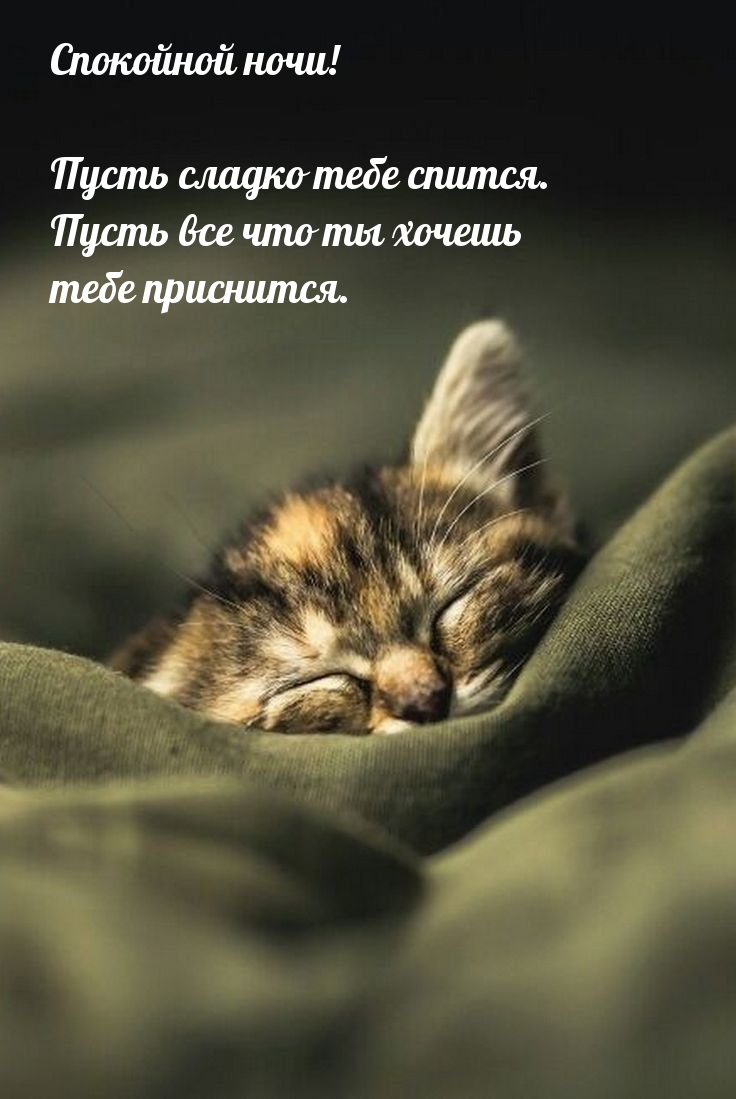 Спокойной ночи! Пусть сладко тебе спится.