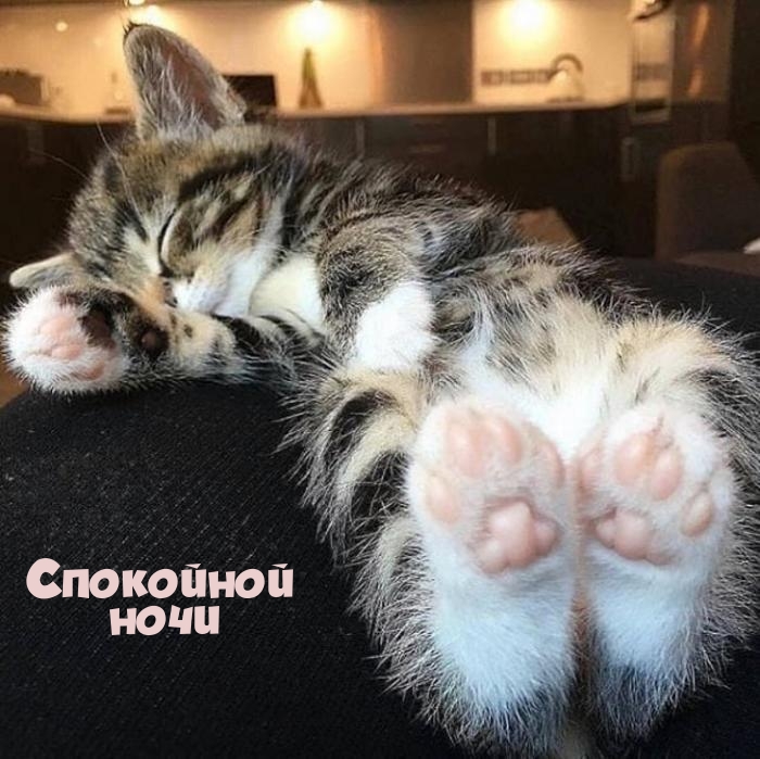 Спокойной ночи