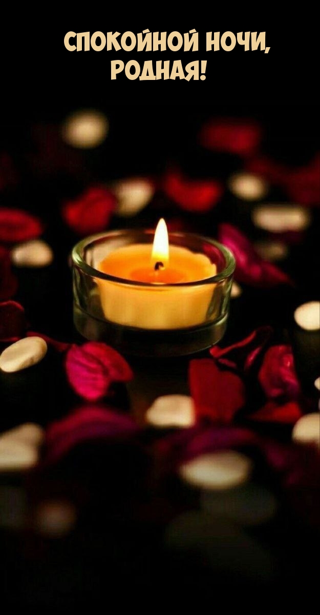 Спокойной ночи, родная!
