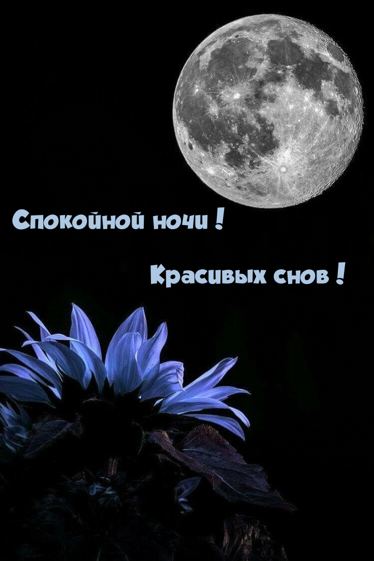 Спокойной ночи! Красивых снов!