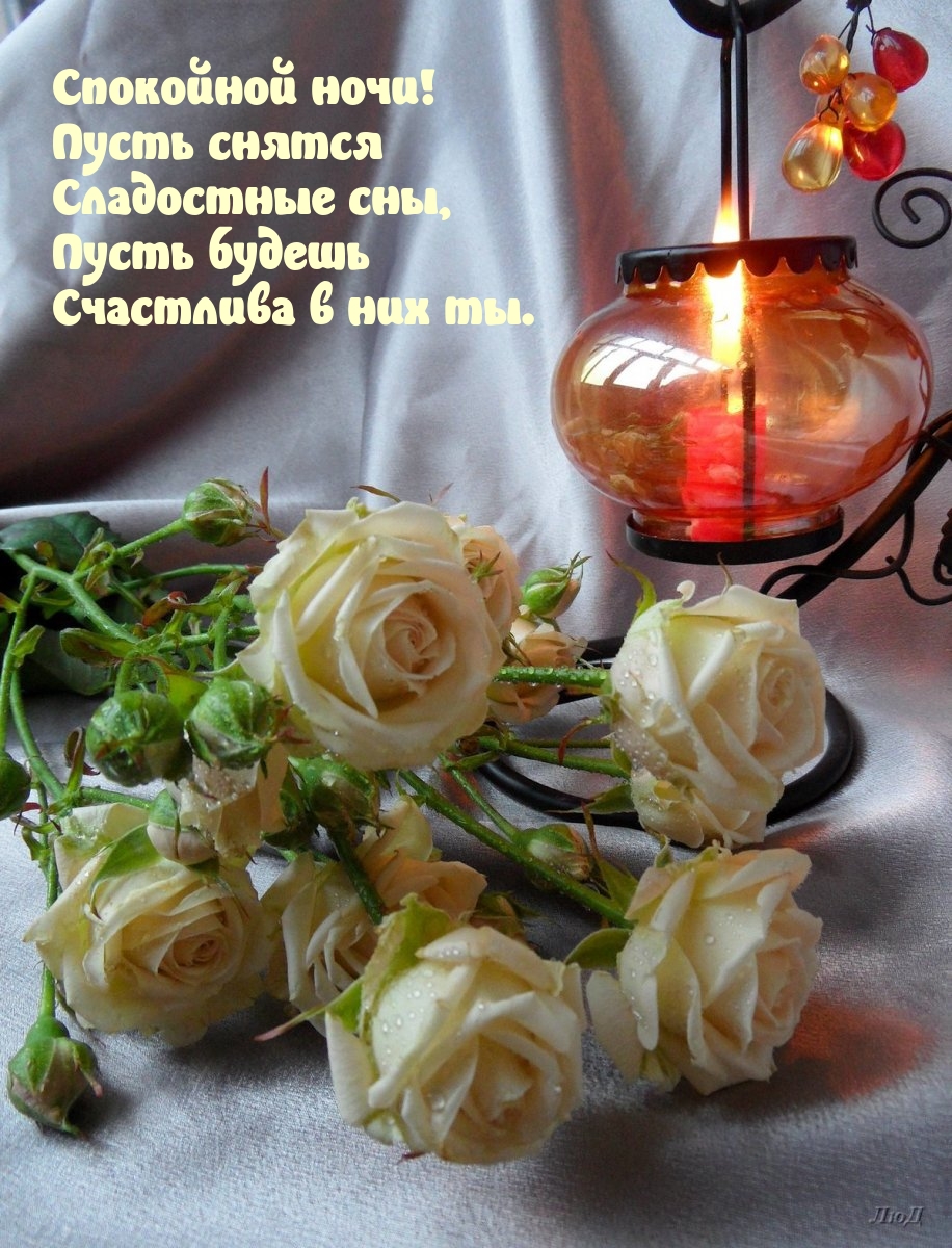 Спокойной ночи! Пусть снятся сладостные сны