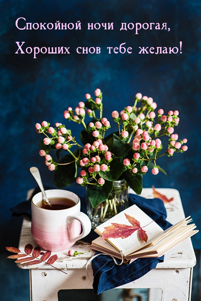 Спокойной ночи дорогая, хороших снов тебе желаю!