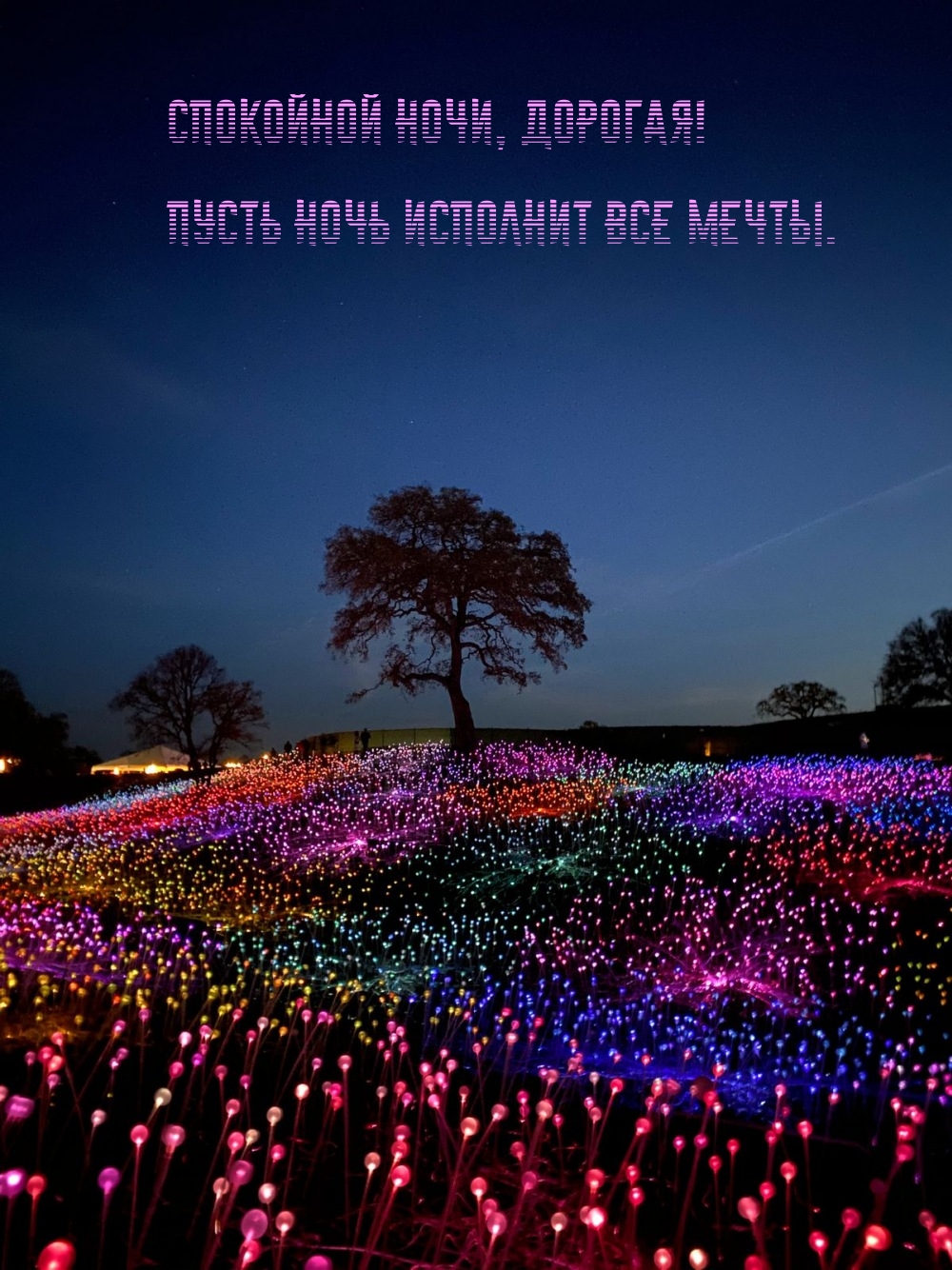 Спокойной ночи, дорогая! Пусть ночь исполнит все мечты.