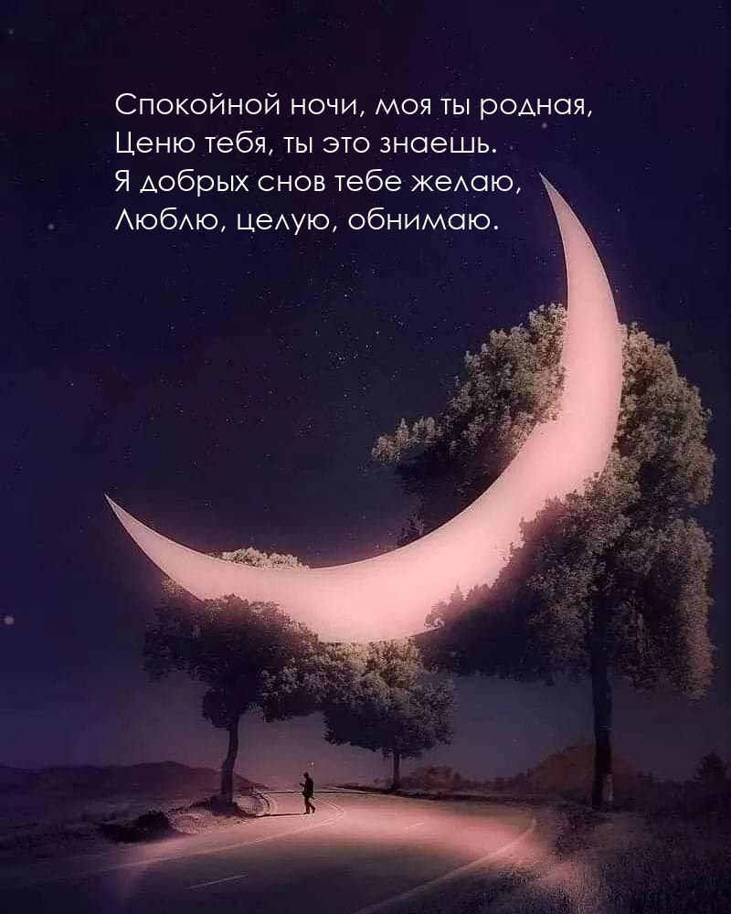 Спокойной ночи, моя ты родная, ценю тебя, ты это знаешь.