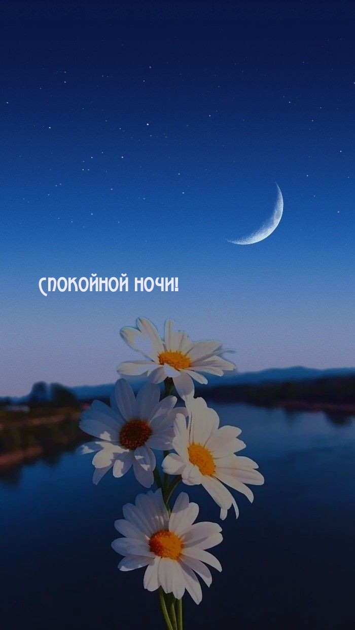 Спокойной ночи!