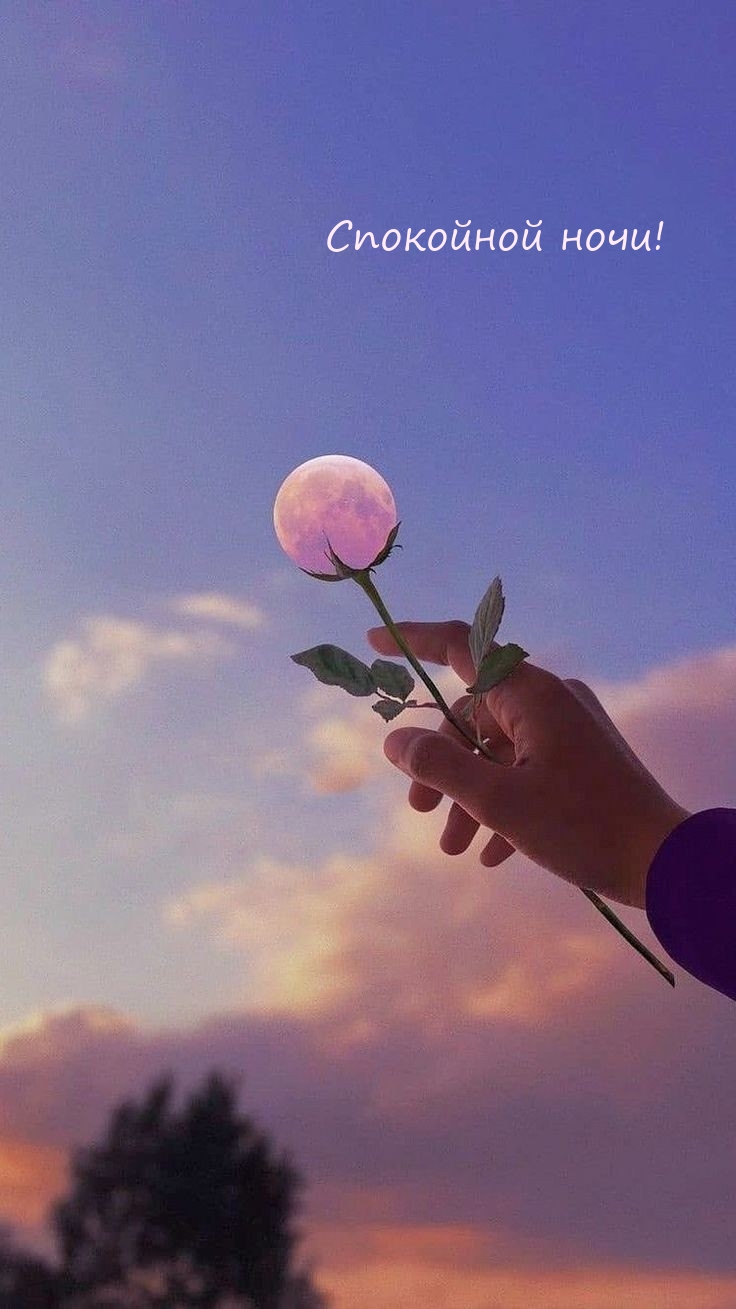 Спокойной ночи!