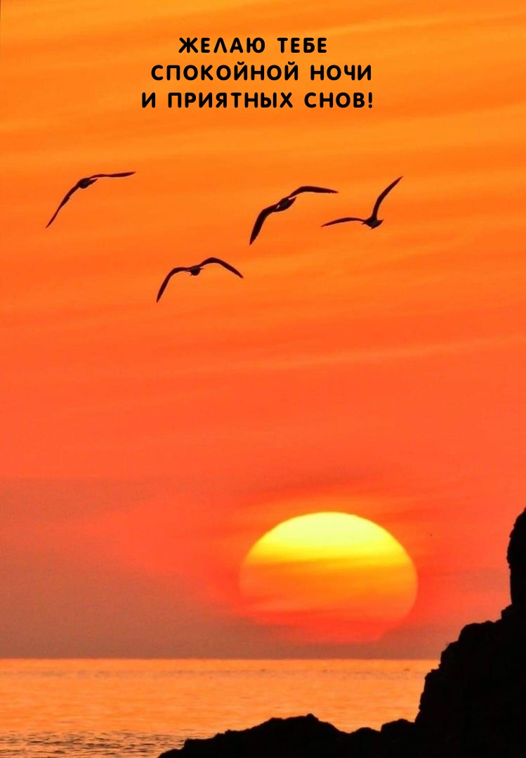 Желаю тебе спокойной ночи и приятных снов!    