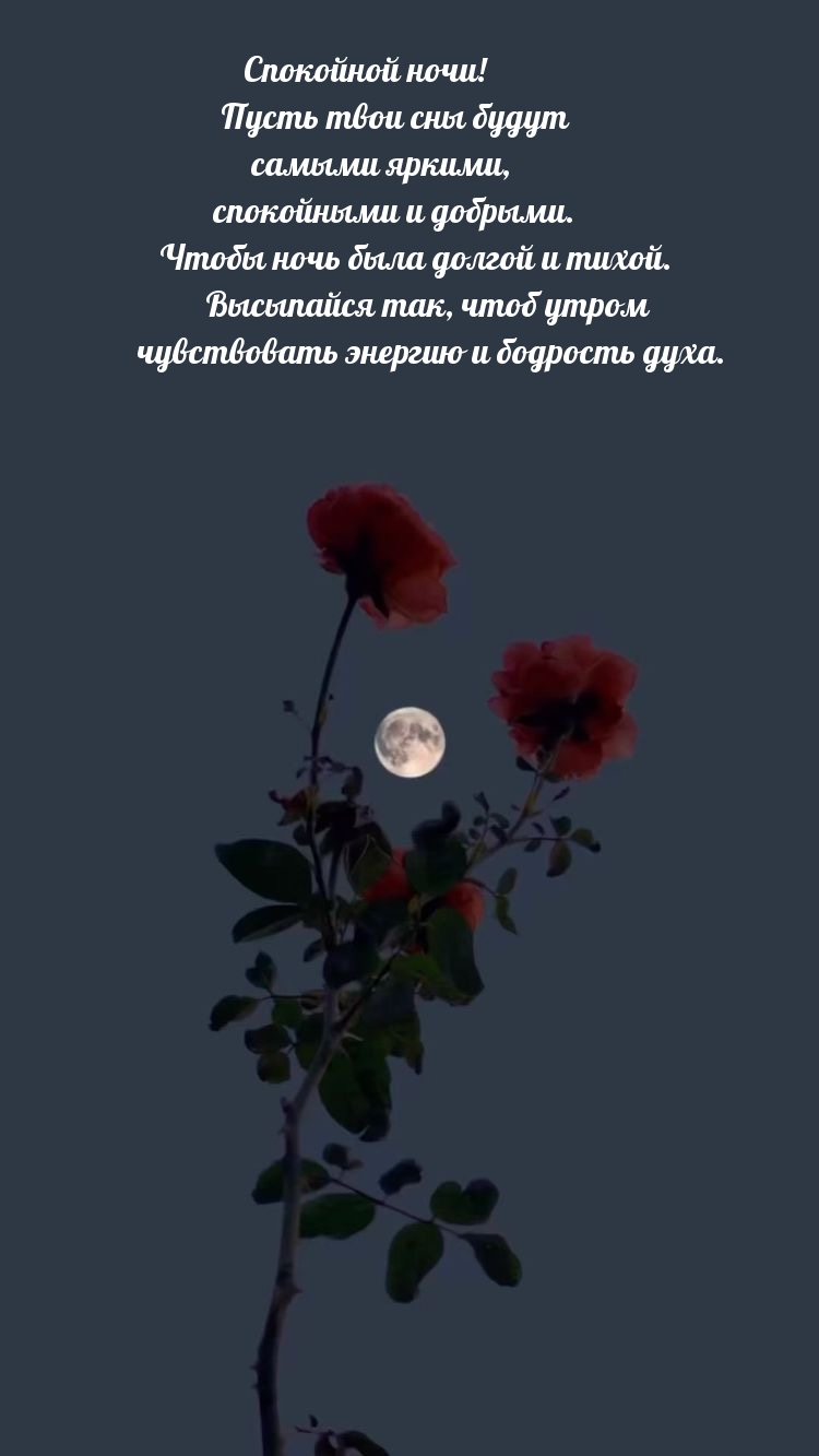 Спокойной ночи! Пусть твои сны будут самыми яркими