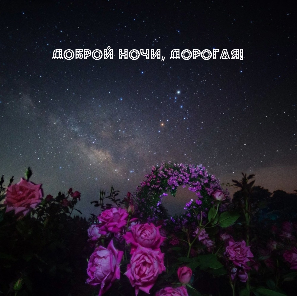 Доброй ночи, дорогая!
