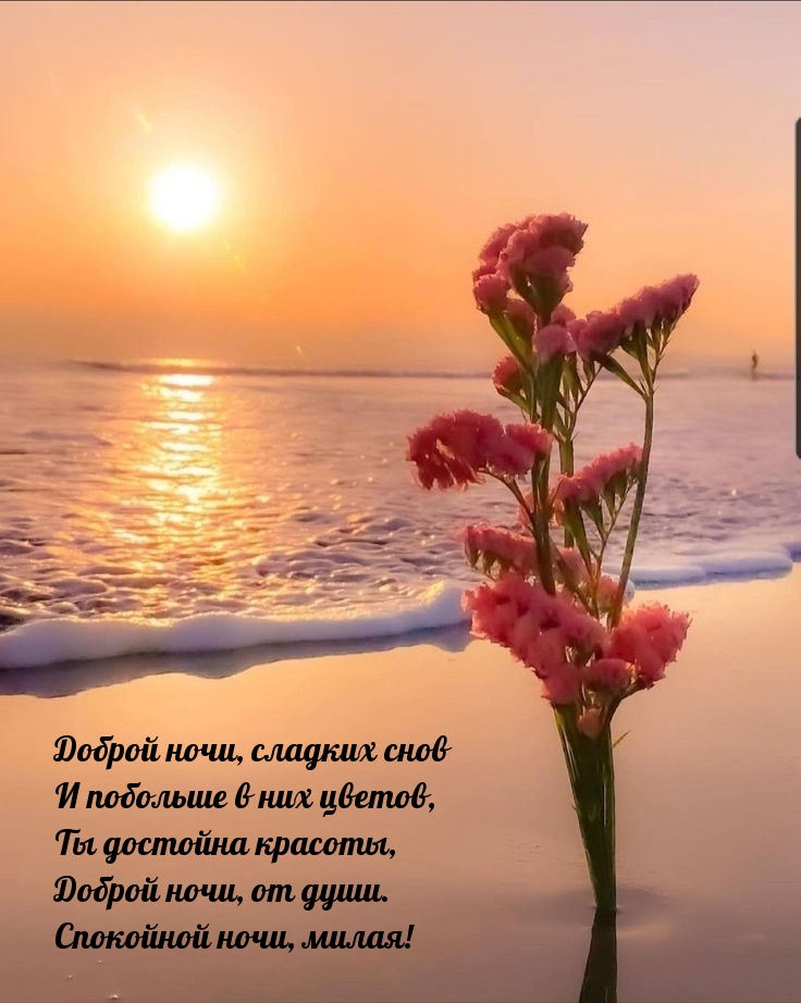 Доброй ночи, от души. Спокойной ночи, милая!