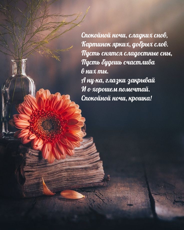 Спокойной ночи, сладких снов, картинок ярких, добрых слов.