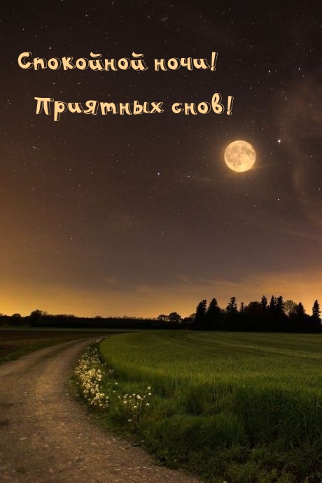Спокойной ночи! Приятных снов!