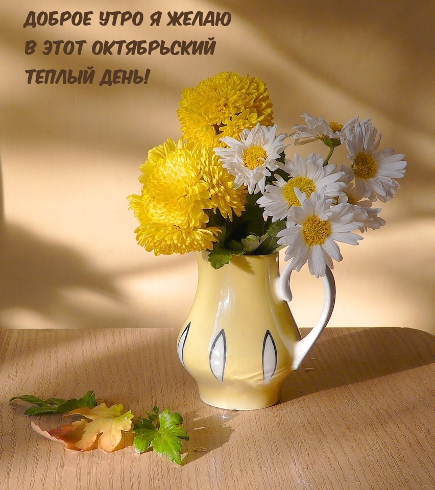 Доброе утро я желаю в этот октябрьский теплый день!
