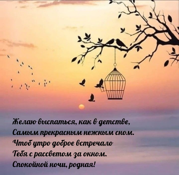 Спокойной ночи, родная! Желаю выспаться, как в детстве