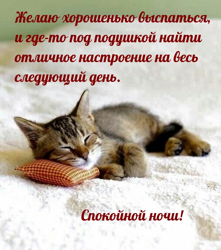 Спокойной ночи! Желаю хорошенько выспаться