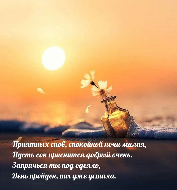 Приятных снов, спокойной ночи милая