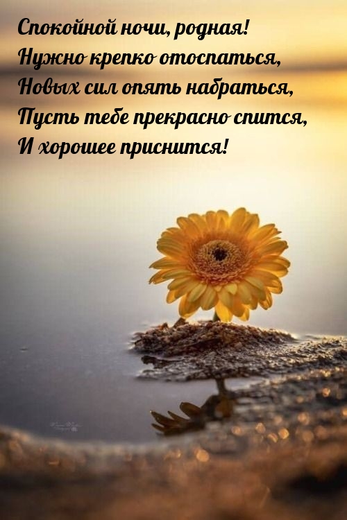 Спокойной ночи, родная! Нужно крепко отоспаться