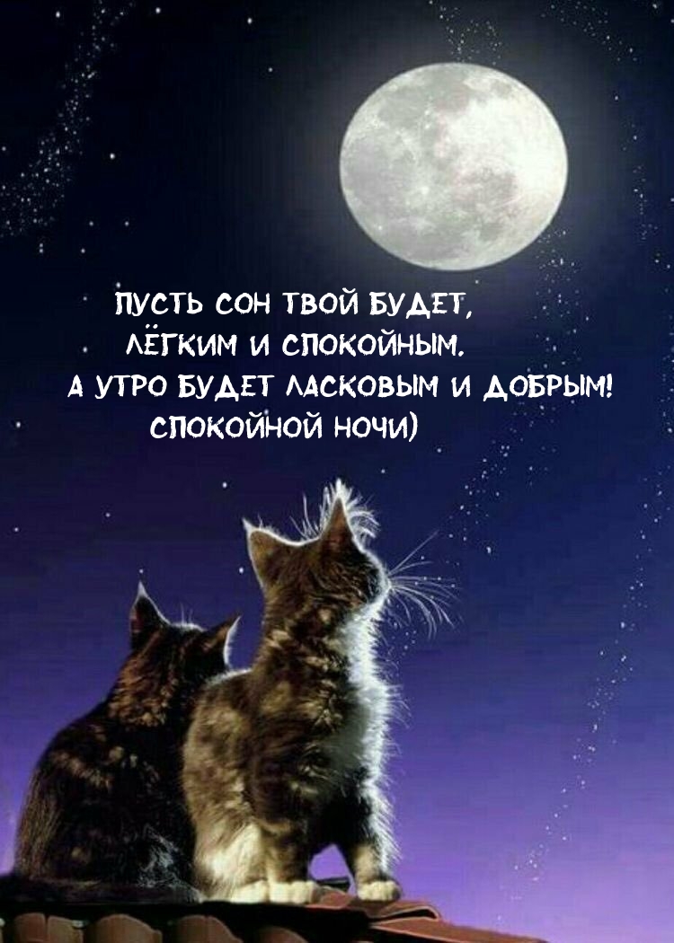 Пусть сон твой будет, лёгким и спокойным.