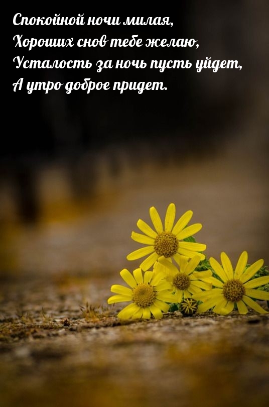 Спокойной ночи милая, хороших снов тебе желаю