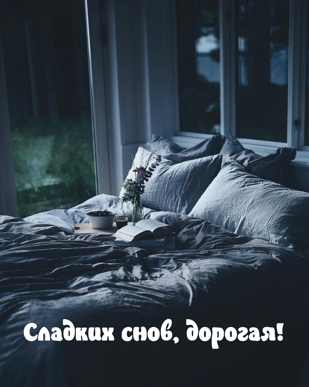 Сладких снов, дорогая!